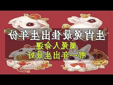 火兔生肖|火兔年是哪些年份